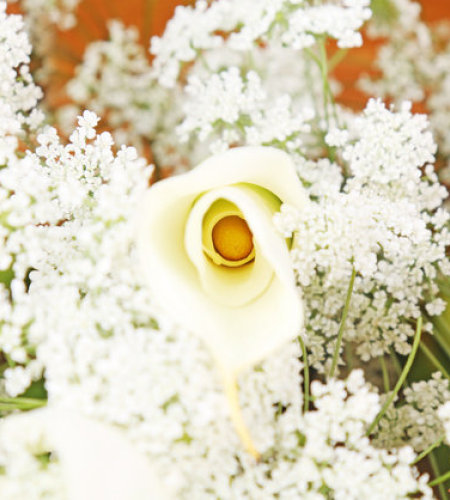 曼妙时光-9朵白色马蹄莲，搭配水晶草