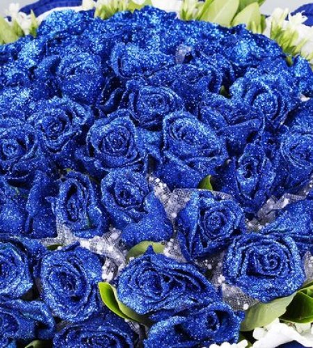 最浪漫的爱-50朵蓝色妖姬，相思梅、栀子叶