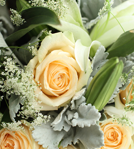 天秤座守护花-香槟玫瑰11枝、白百合3枝、蕾丝3枝、银叶菊8枝