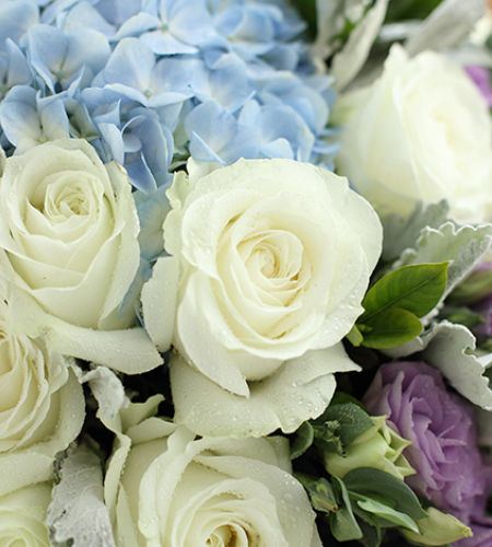 金牛座守护花-白玫瑰11枝、浅蓝绣球1枝、浅紫色洋桔梗5枝
