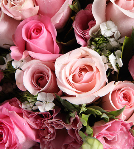 粉色心情-苏醒玫瑰6枝，粉佳人玫瑰13枝，粉色桔梗6枝
