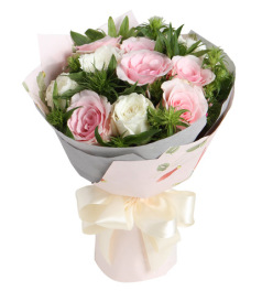 爱丽丝梦境-粉佳人粉玫瑰6枝，白玫瑰6枝