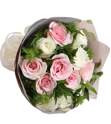 爱丽丝梦境-粉佳人粉玫瑰6枝，白玫瑰6枝