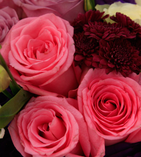 马尔代夫的假日-紫玫瑰6枝，粉玫瑰3枝、白玫瑰3枝