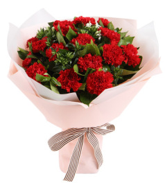 幸福典藏-红色康乃馨16枝，白色相思梅5枝，栀子叶0.5扎