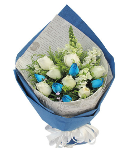 蓝色魅力-5枝蓝色妖姬（昆明产），7枝白色玫瑰