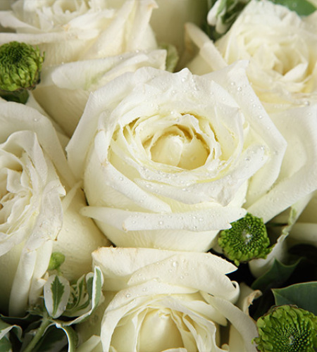 最初的梦想-白玫瑰11枝，绿小菊1枝，白色石竹梅3枝，叶上花5枝