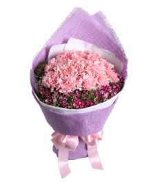 美丽春漾-16枝粉色康乃馨,石竹梅