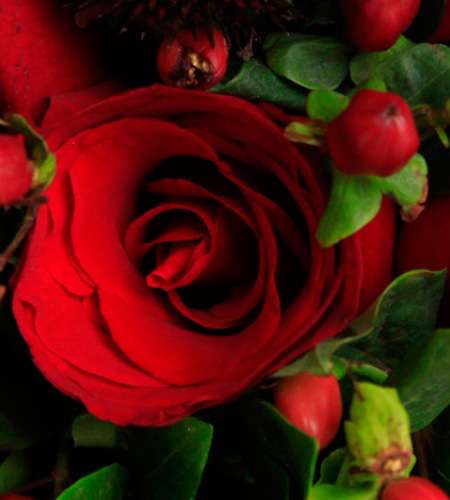 夜色下的心跳-红色玫瑰11枝