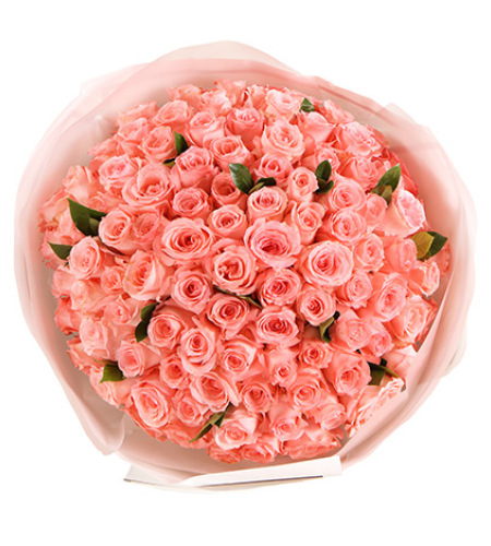 幸福久久-戴安娜粉玫瑰99枝，栀子叶适量