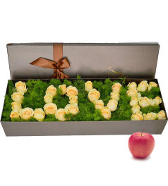 圣诞专款鲜花礼盒-32朵香槟玫瑰