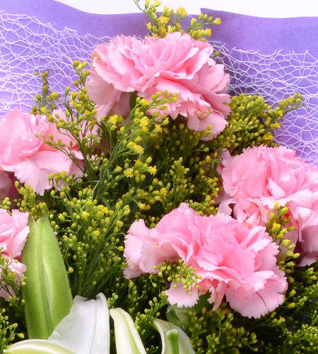 母爱深深-11朵粉色康乃馨、1枝百合花