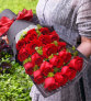 19朵红色玫瑰礼盒-一生守候