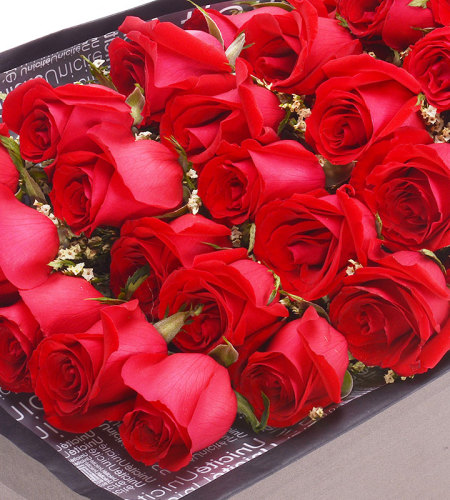 深深的爱-33朵红玫瑰礼盒