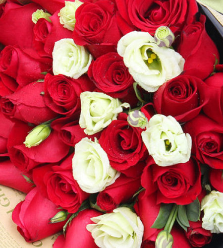 爱在此刻-33朵红玫瑰，搭配洋桔梗