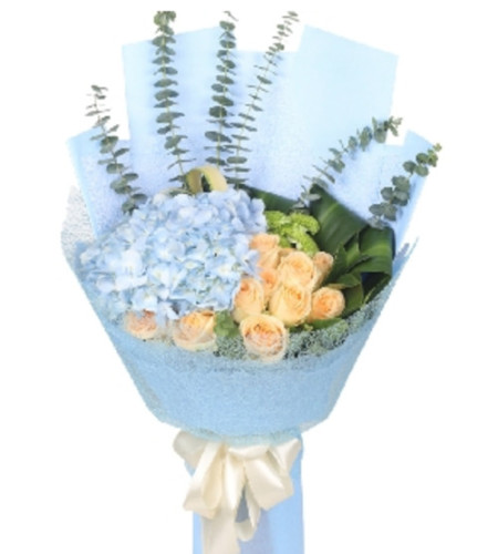 祝福-11枝香槟玫瑰，1枝蓝色绣球，搭配适量尤加利叶，绿色康乃馨，巴西叶，剑叶