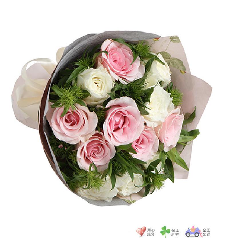 爱丽丝梦境-粉佳人粉玫瑰6枝，白玫瑰6枝-鲜花速递