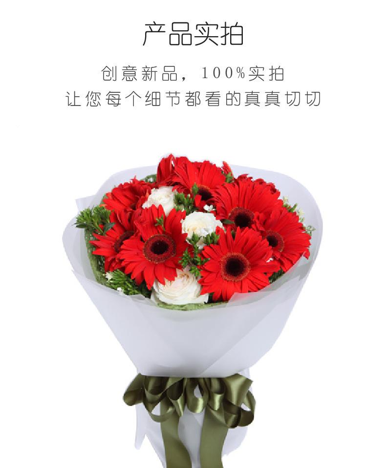 舞动青春-11枝红色太阳花，雪山白玫瑰3枝实拍图片