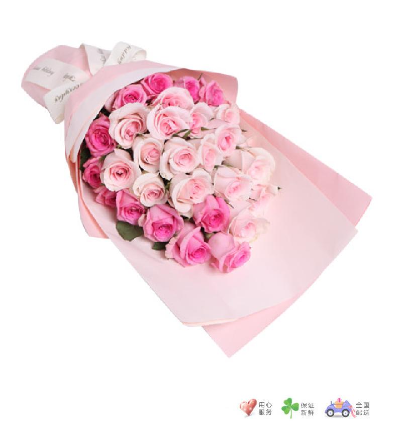 心有灵犀-粉佳人粉玫瑰17枝，苏醒粉红玫瑰12枝-鲜花速递