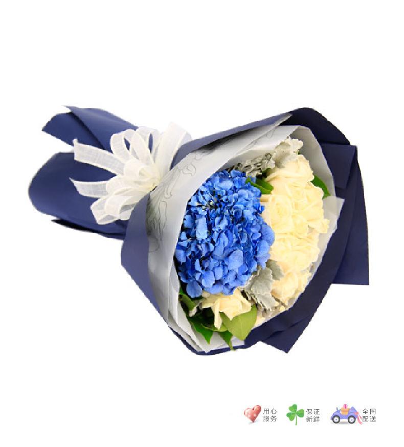 约定-9枝白玫，深蓝色绣球1枝，白色洋桔梗，栀子叶，银叶菊适量-鲜花速递