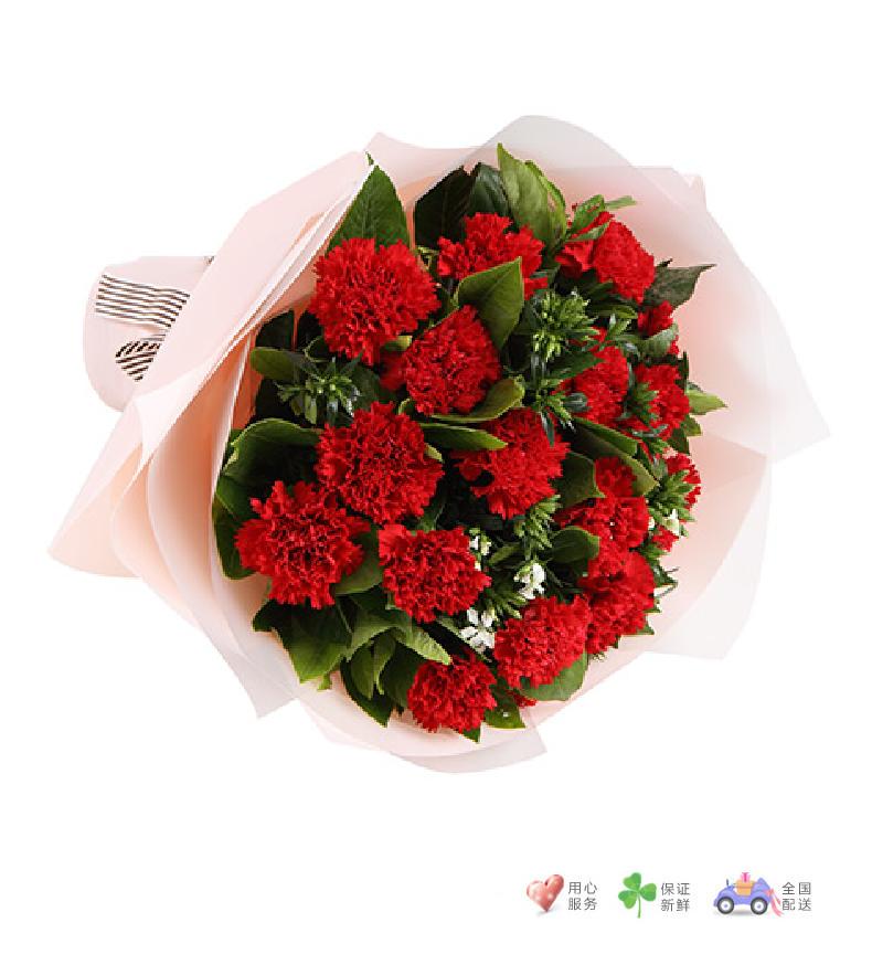 幸福典藏-红色康乃馨16枝，白色相思梅5枝，栀子叶0.5扎-鲜花速递