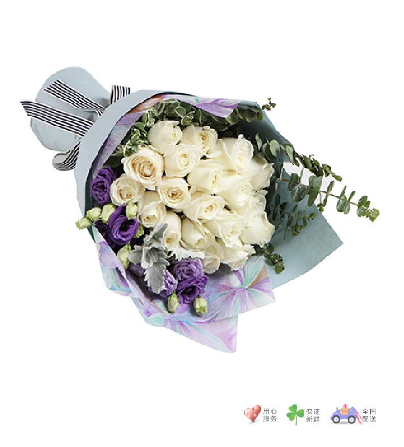 天使爱恋-白玫瑰19枝，紫色桔梗3枝，银叶菊1枝，尤加利3枝-鲜花速递