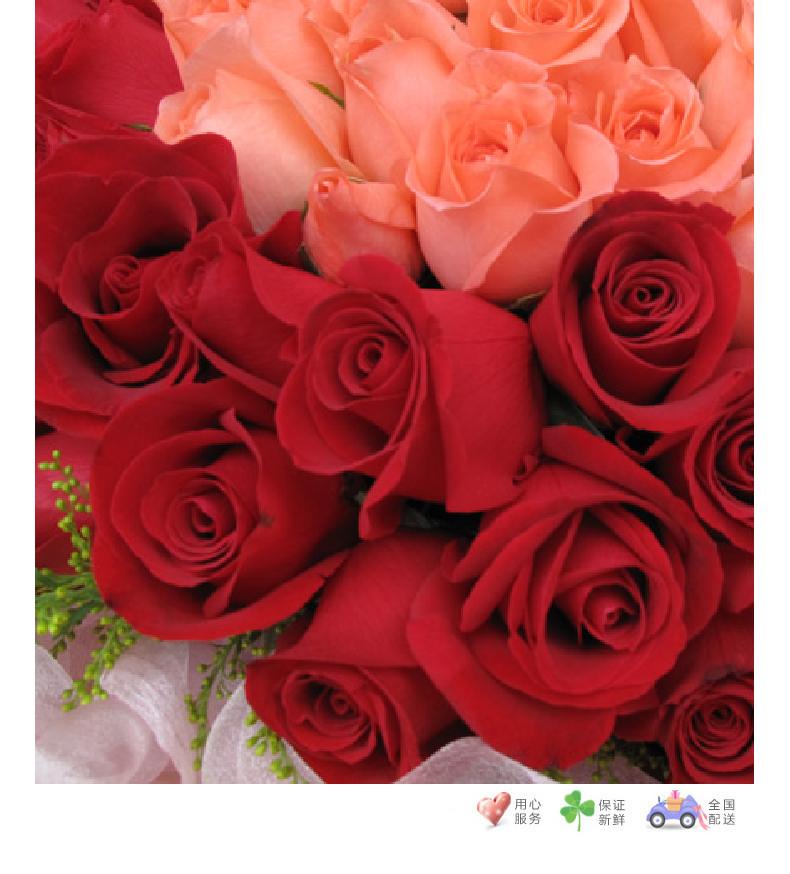 完美的爱-33枝粉玫瑰居中，66枝红玫瑰围绕，5寸小熊一只-鲜花速递