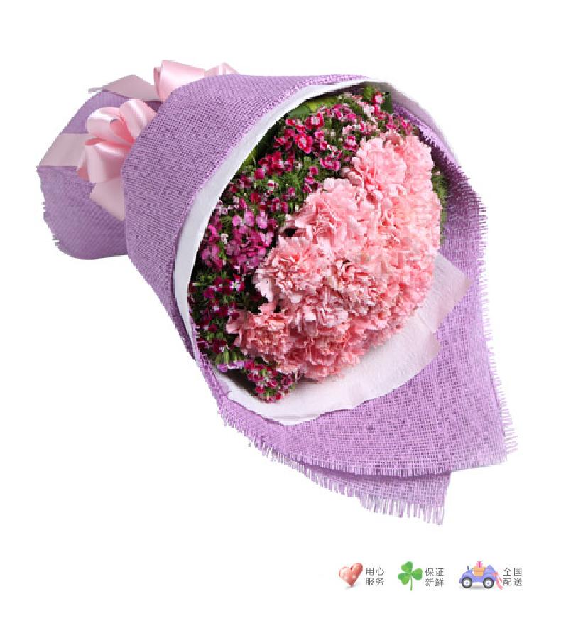 美丽春漾-16枝粉色康乃馨,石竹梅-鲜花速递