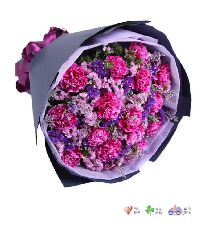 紫为你动馨-16枝紫康乃馨-鲜花速递