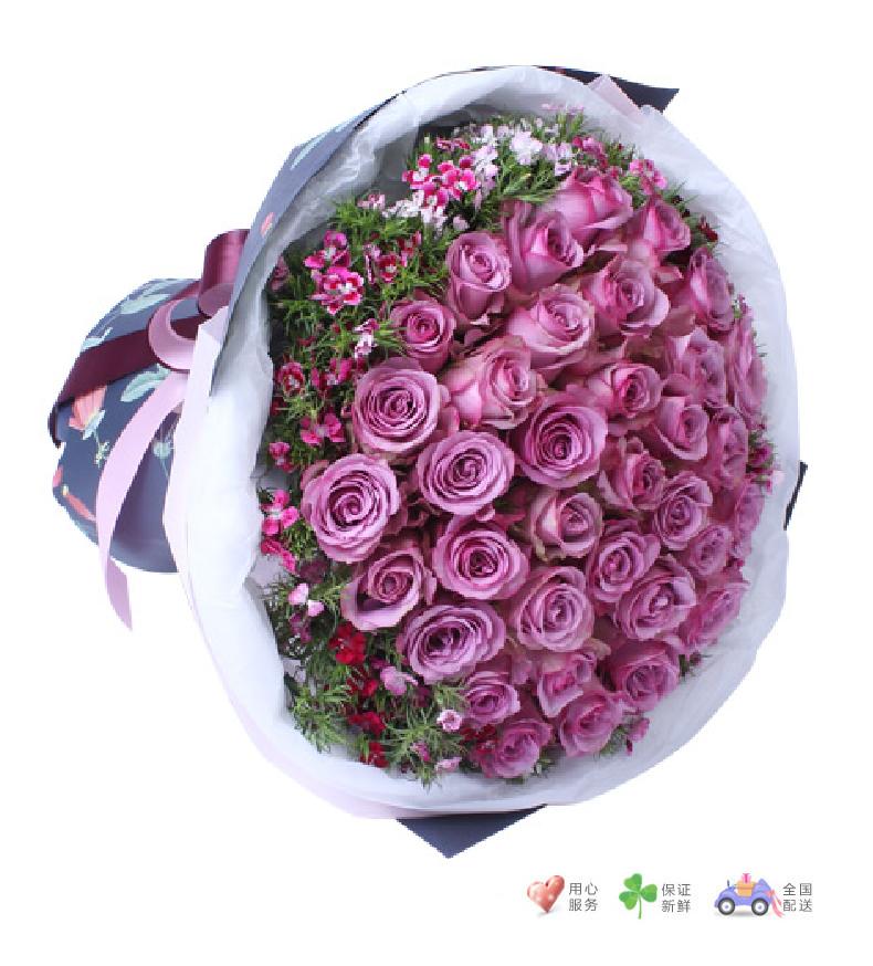 紫霞仙子-紫玫瑰36枝，石竹梅围绕-鲜花速递