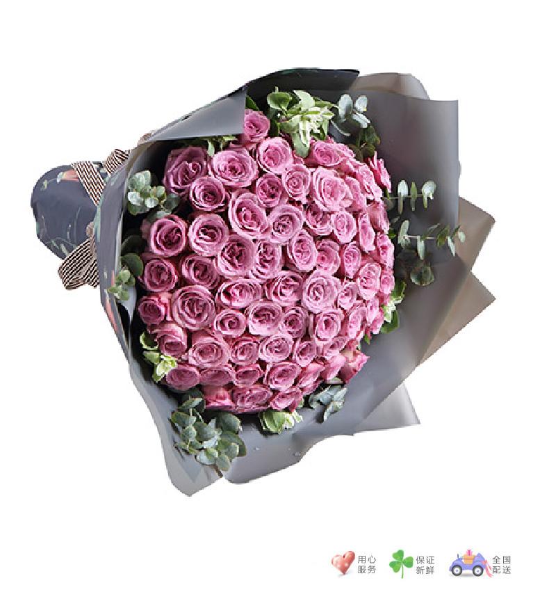情深款款-紫玫瑰66枝，搭配适量叶上花尤加利-鲜花速递