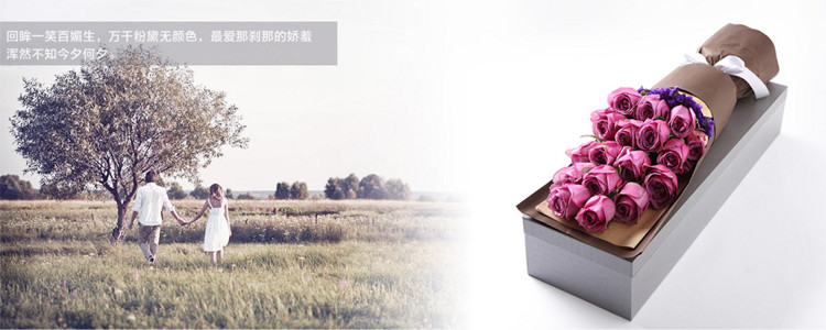 礼盒紫玫瑰素材1